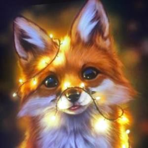 Meet your Posher, Mitchell